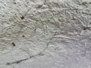 Handelt es sich hier um Asbest?