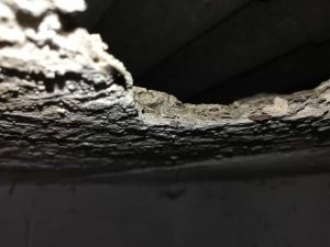 Handelt es sich hier um Asbest?