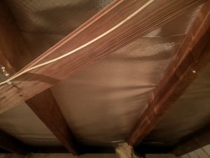 IMG_20190710_205430.jpg