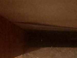 IMG_20190710_205444.jpg