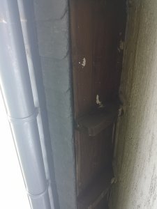 IMG_20190710_205602.jpg