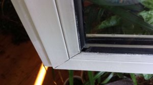 20190710_185211.jpg