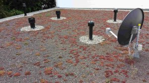 20140416_134058.jpg