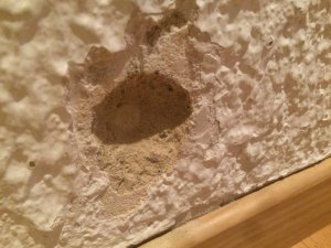 IMG_0340.JPG