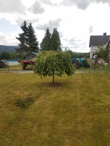 20190713_161055.jpg