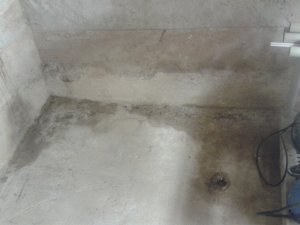 20120101_192123.jpg