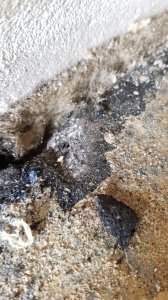 20190714_135739.jpg
