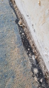 20190714_105405.jpg
