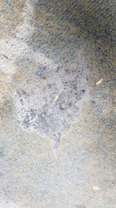 20190714_105508.jpg