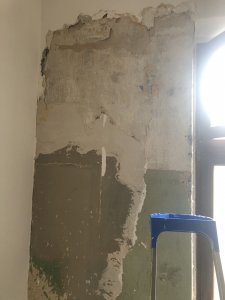 48954234-B009-494A-A3B6-9091DE6FD0FD.jpeg