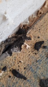 20190714_135722.jpg