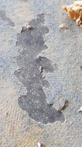 20190714_105626.jpg