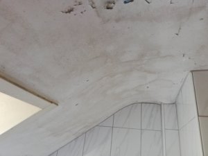 IMG_20190604_085653.jpg