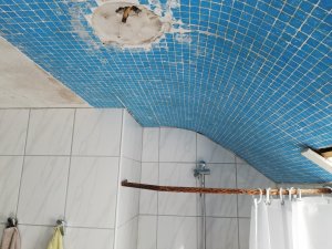 IMG_20190720_174437.jpg