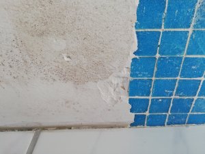 IMG_20190720_174409.jpg