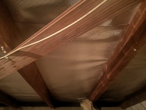 IMG_20190710_205430.jpg