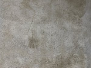 IMG_2510.jpeg