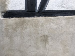 IMG_2511.jpeg