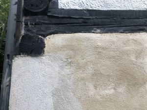 IMG_2513.jpeg