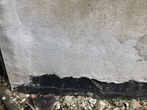 IMG_2516.jpeg