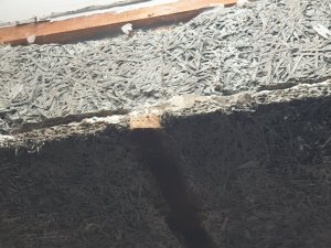 20190722_114659.jpg