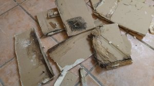 Schimmel hinter Gipskarton um Dachfenster