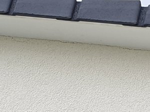 20190502_161212.jpg