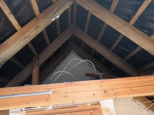 IMG_20190720_120231.jpg