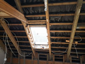 IMG_20190720_115954.jpg