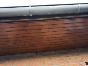 IMG_20190723_204243.jpg