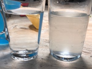 IMG_2999.JPG