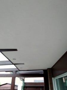 IMG_20190731_200237.jpg