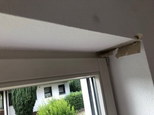 IMG_3262.jpg