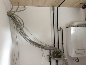 0C915389-1E9C-43BD-A4BB-B5A64CA7A9B0.jpeg
