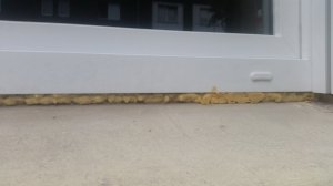 20190728_174922.jpg