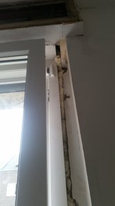 20190727_190848.jpg