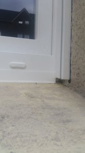 20190801_165307.jpg