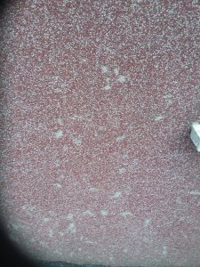 20190806_075759.jpg