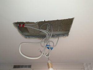 20190806_192939 (Medium).jpg