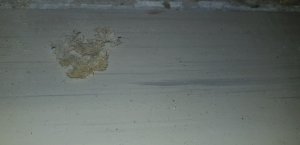20190807_225718.jpg