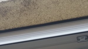 20190808_131118.jpg