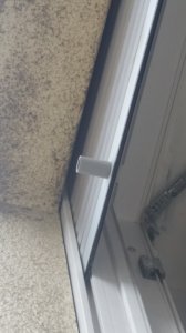 20190808_131137.jpg