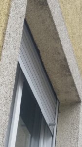 20190808_131507.jpg