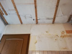 IMG_20181210_154436.jpg