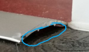 2019-08-15 10.54.16.jpg