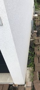 fullsizeoutput_5c7.jpeg