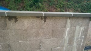 IMAG0808.jpg