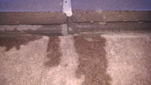 IMAG0809.jpg