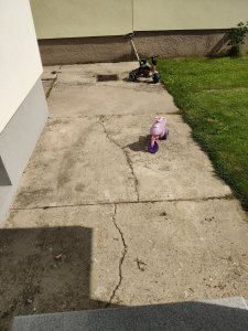 IMG_20190816_145236.jpg
