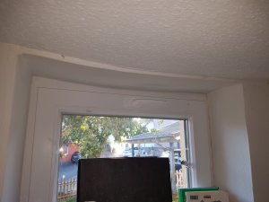 20190822_185840.jpg